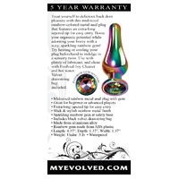 Medium Rainbow Metal Butt Plug