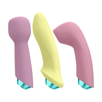 Marvelous Four Vibrator Kit