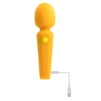 Sunshine Wand Massager