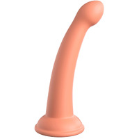 6" Secret Explorer Dildo