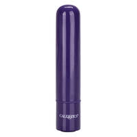 Tiny Teasers Bullet Vibrator