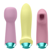 Marvelous Four Vibrator Kit