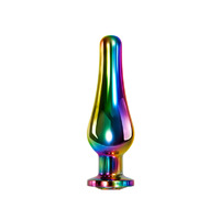 Medium Rainbow Metal Butt Plug