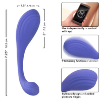 Kegel Exerciser