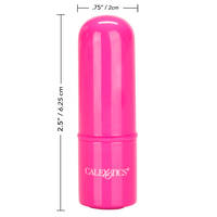 Tiny Teasers Mini Bullet Vibrator