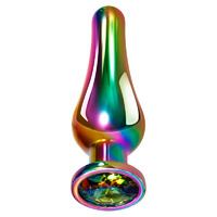 Medium Rainbow Metal Butt Plug