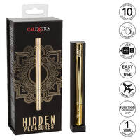 Hidden Pleasures Bullet Vibrator