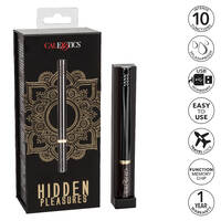 Hidden Pleasures Bullet Vibrator