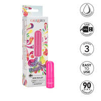 Tiny Teasers Mini Bullet Vibrator