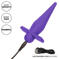 Rechargeable High Intensity Probe - Purple