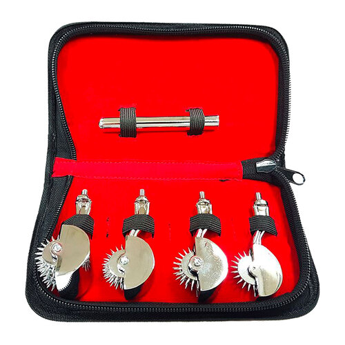 Stainless Steel Pinwheel Set