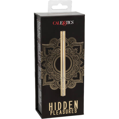 Hidden Pleasures Bullet Vibrator