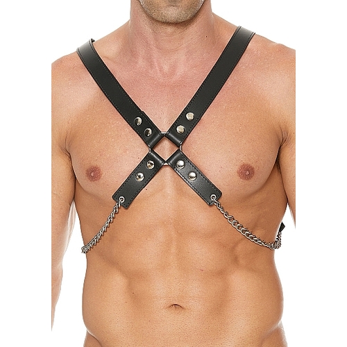 Leather And Chain Harness