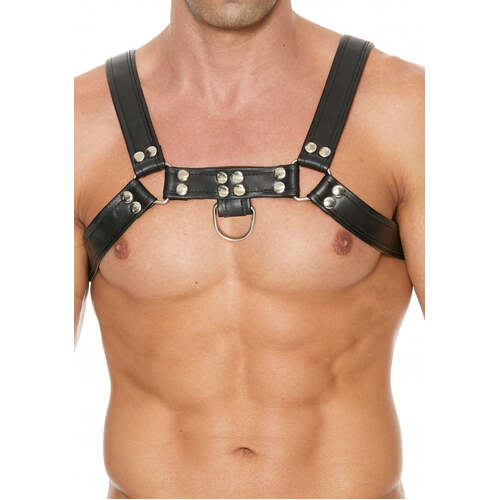 Chest Bulldog Harness L/XL