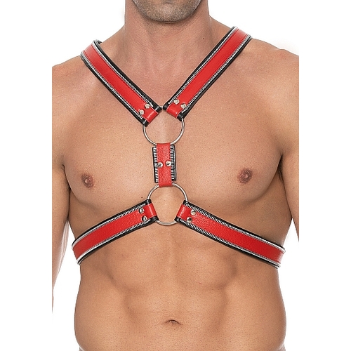 Scottish Harness L/XL